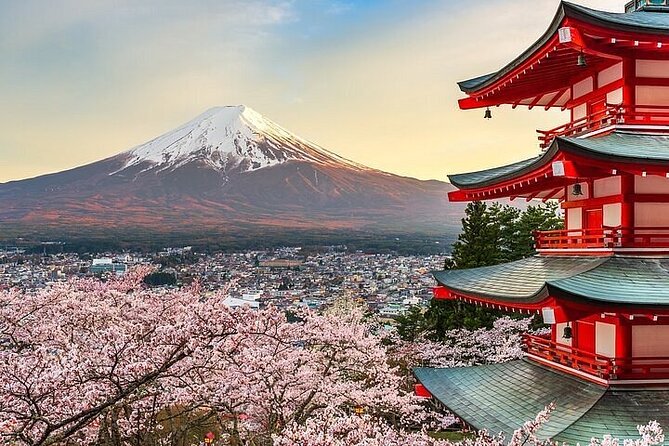 Private Mount Fuji Tours With Car Pickup From Tokyo - Pickup and Meeting Points