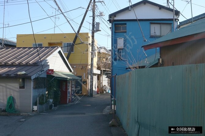 Private Shinjuku Kawasaki Tokyo Slum Walking Tour With Transfer - Tour Customization and Confirmation