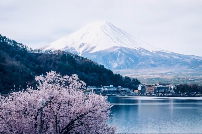 Private Sightseeing to Mt Fuji and Hakone With English Driver - Transportation Details