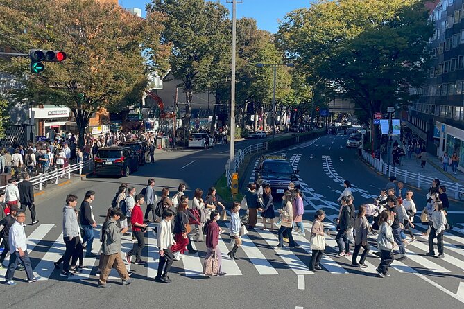 Private Tokyo Tour With Japanese Local Guide - Pickup Information