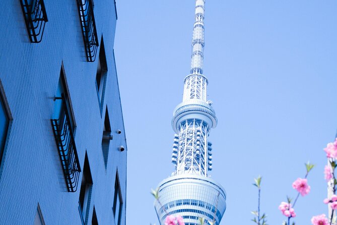 Private Tour in Tokyo With English Speaking Driver - Pickup and Meeting Information