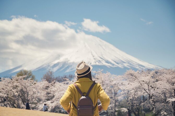 Private Tour of Mount Fuji With Kawaguchi Lake and Oshino Hakkai - Inclusions