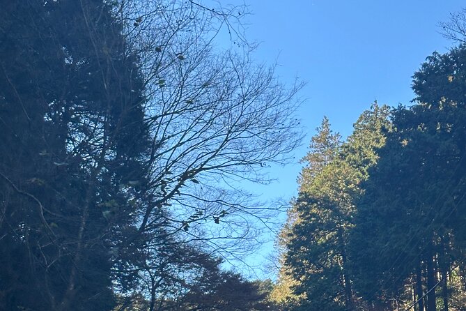 Private Tour to Mt Fuji and Hakone With English Speaking Driver - Inclusions