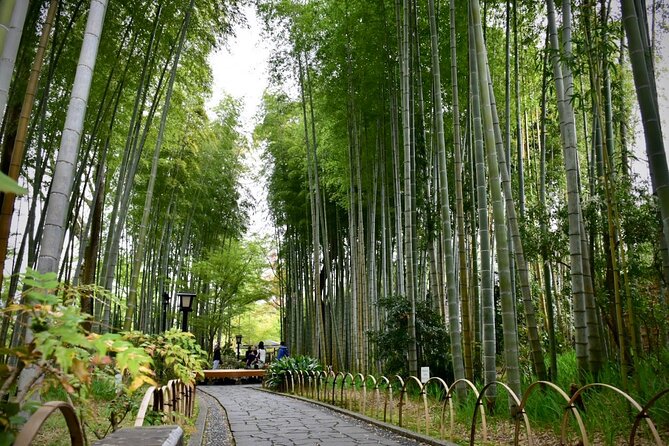 Private West IZU Uncovered Tour Cave Cruise and Monkey Encounter - Meeting and Pickup