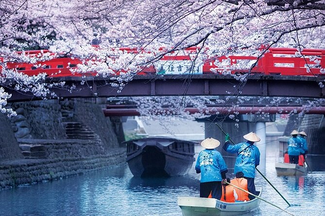 Sakura Magic and Nabana No Sato Day Tour From Osaka - Inclusions