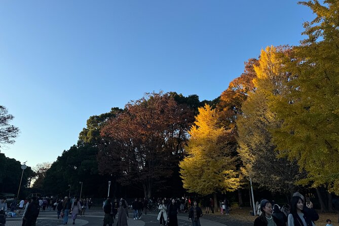Shibuya and Harajuku Highlights Walking Tour - Discover the Kawaii Culture in Harajuku