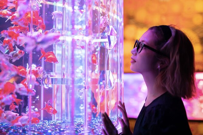 Tokyo Art Aquarium Museum E-Ticket With Optional Tokyo Metro Pass - Location and Accessibility