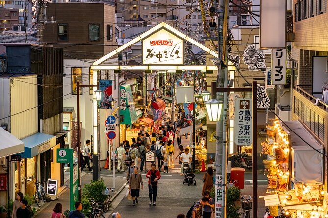 Tokyo, Encounter Cultural Heritage & Enjoy the Old Town - Meeting and Pickup