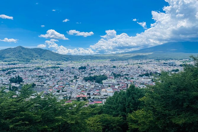 Tokyo: Mount Fuji One Day Private Tour by Car With English Guide - Inclusions and Exclusions