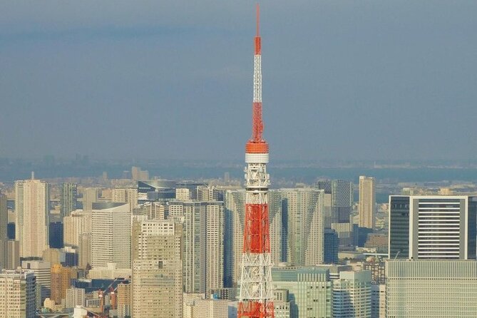 Tokyo Private Day Tour by Car With English Speaking Driver Guide - Meeting and Pickup Details