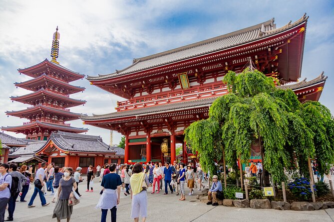 Tokyo Private Driving Tour by Car/Van - English Speaking Driver - Pickup Information