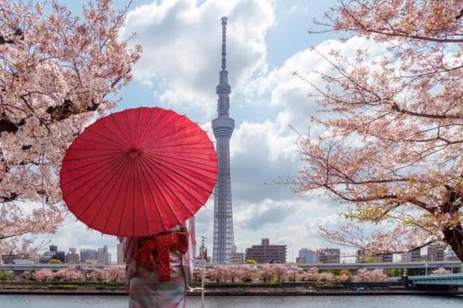 Tokyo Private Guided Tour With Hotel Pickup and Drop off - Booking Information