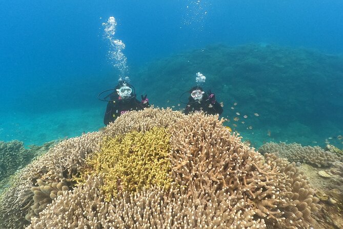 Trial Boat Dive 2 DIves at Nakijin, Motobu, Okinawa - Location and Provider Details