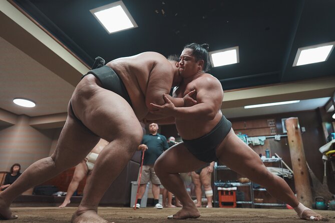 Unique Afternoon Live Sumo Training Tour in Tokyo - Inclusions