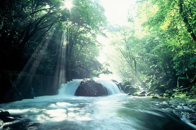 Walking With a Guide Through the Kikuchi Valley - Pricing and Fees