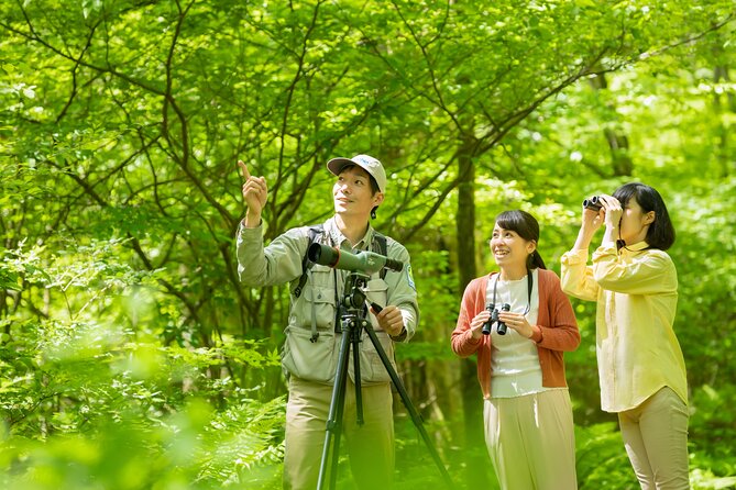 Wild Bird Sanctuary Forest Guided Tour in Nagano - Location and Meeting Point