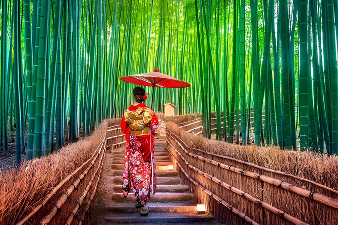 3 Days Private Osaka Kyoto and Nara Tour With English Driver - Good To Know