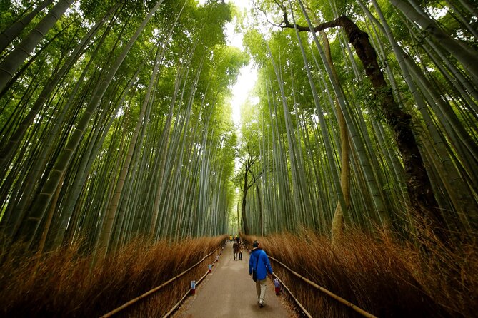 3 Day Japan Tour Kyoto, Osaka & Nara From Tokyo - Discovering the Vibrant City of Osaka