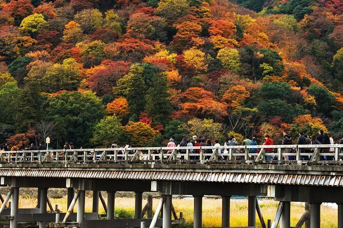 Arashiyama Walking Tour With Optional Sagano Romantic Train Ride - Meeting and Pickup