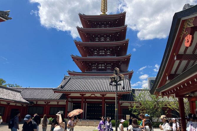 Asakusa, Tokyo: Rickshaw Experience and Highlights Walking Tour - Experiencing the Rickshaw Ride
