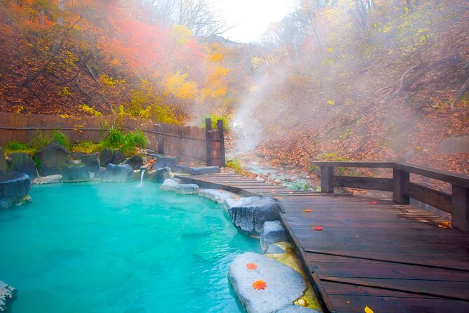 Aso Vocano, Grassland,Onsen and Aso Shrine 1-Day Tour - Additional Information