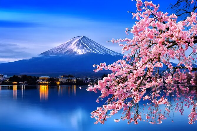 Beyond the Ordinary: Private Mount Fuji & Cherry Blossom Tour - Exploring Mount Fuji and Its Surroundings