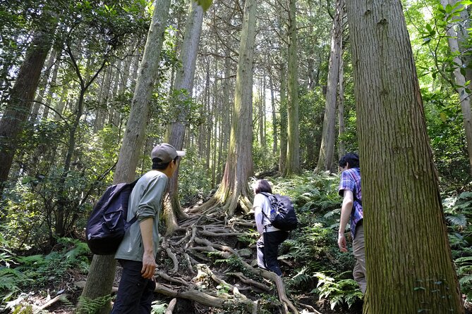 Countryside Walking & Mountain Hiking in Organic Town Near Tokyo - Cultural Immersion in the Local Community