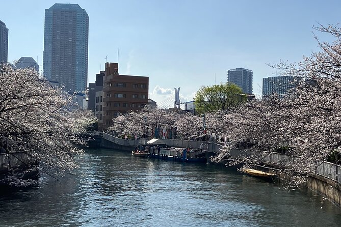 Cultural Temple Tour With a Real Local in Calm East Tokyo - The Local Guide