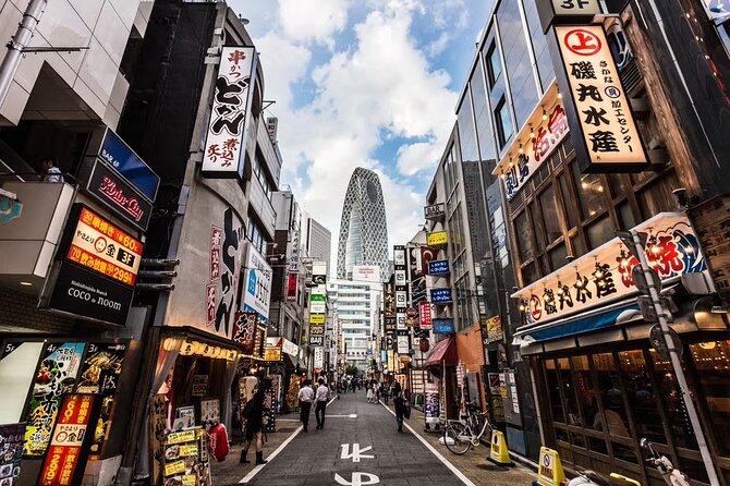 Customizable Private Tokyo Tour With an English-Speaking Driver - Tour Logistics