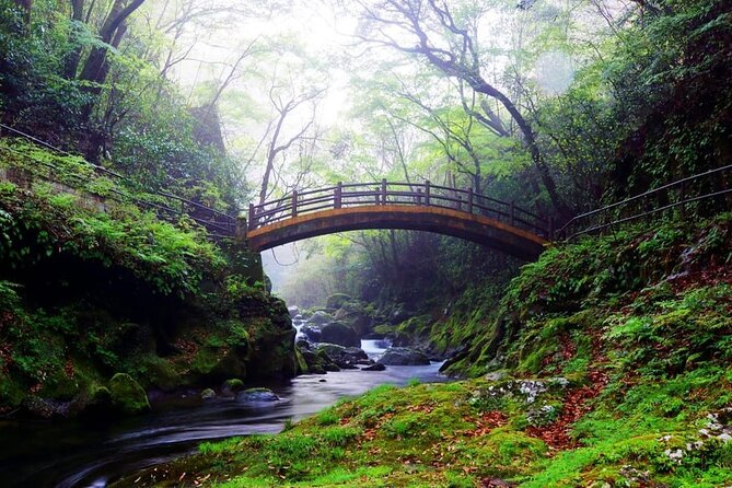 Day Tour to Miyazaki Takachiho Gorge & Shrine Depart From Fukuoka - Inclusions