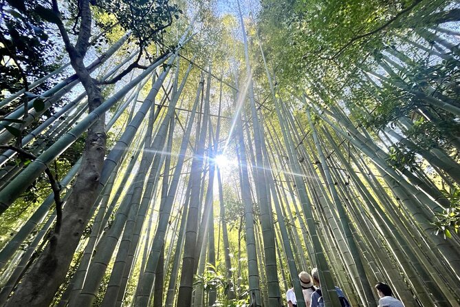 Day Trip to Kamakura & Enoshima: Shrines, Seaside, Temples & Tea - Seeing the Great Buddha