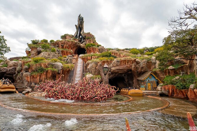 Disneyland Theme Park Tokyo Admission Ticket - Accessibility Features