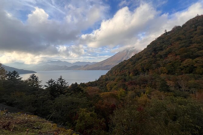 English-Speaking Guided Day Tour of Nikko With a Private Vehicle - Accessibility and Additional Info