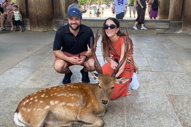 Exclusive Luxury Day Tours Serene Nara - Tour Participation and Accessibility