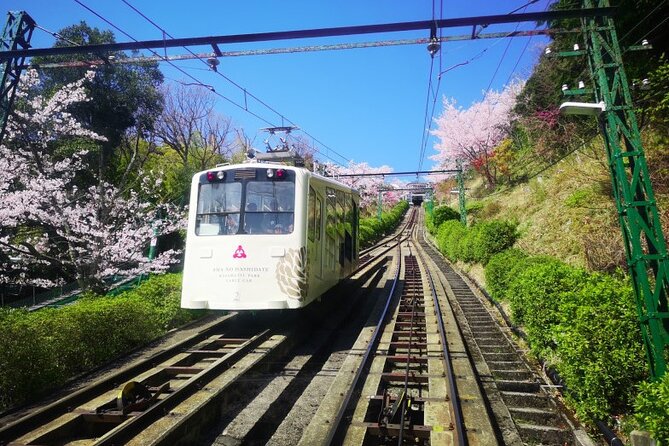 From Osaka/Kyoto: Amanohashidate & Miyama Village 1Day Bus Tour - Inclusions and Exclusions