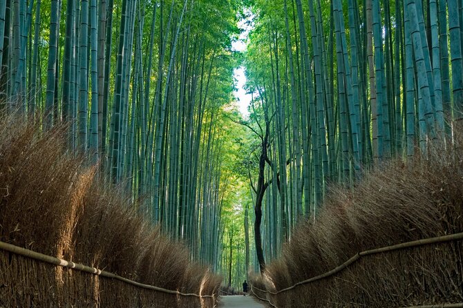 From Osaka-Kyoto: Kyoto and Nara 1Day Bus Tour - Inclusions and Amenities