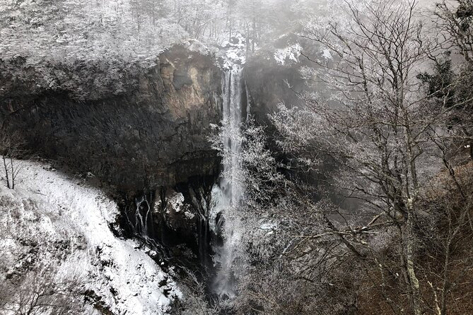 From Tokyo: Nikko Toshogu Shrine and Kegon Waterfall Tour - Scenic Beauty