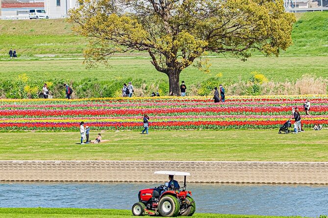 Fukuoka Cherry Blossom and Tulip Tour With Boat Ride Yokabus - Accessibility and Participation