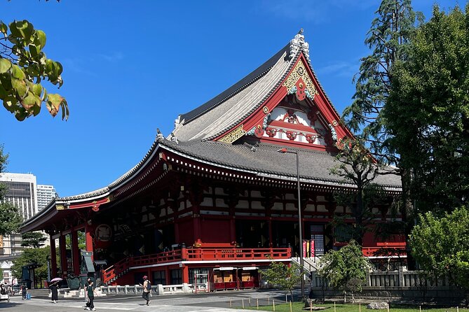 Full Day Tokyo Private City Tour - Health and Accessibility