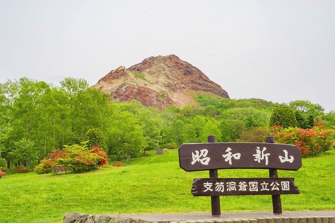 Full Day Tour in Hokkaido and Lake Toya - Health and Accessibility Requirements