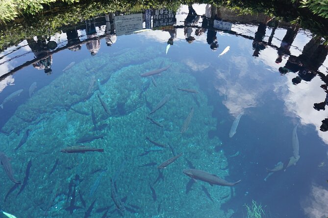 Full Day Tour of Mount Fuji and Hakone From Tokyo - Accessibility and Participation