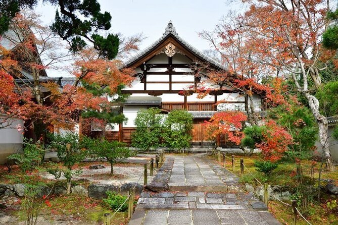 Guided Kyoto City Cherry Blossom One Day Private Tour - Traveler Experience
