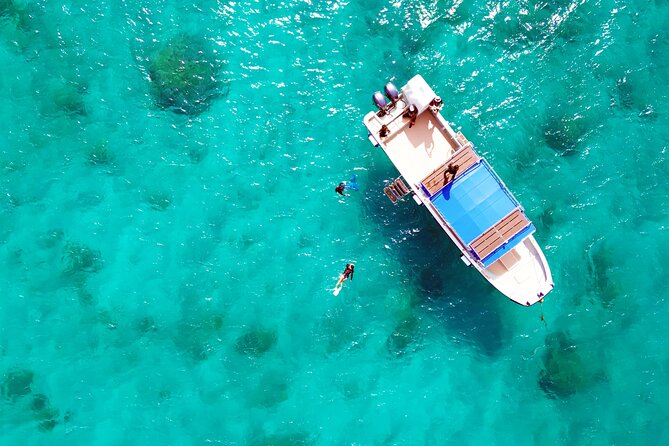 Half Day Amami Japan Boat Snorkeling Adventure - Participation Guidelines