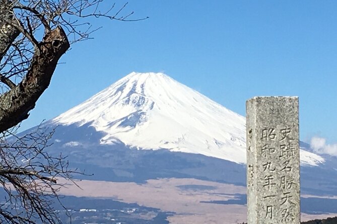Hike Hakone Hachiri - The Engaging Guidance of Tony