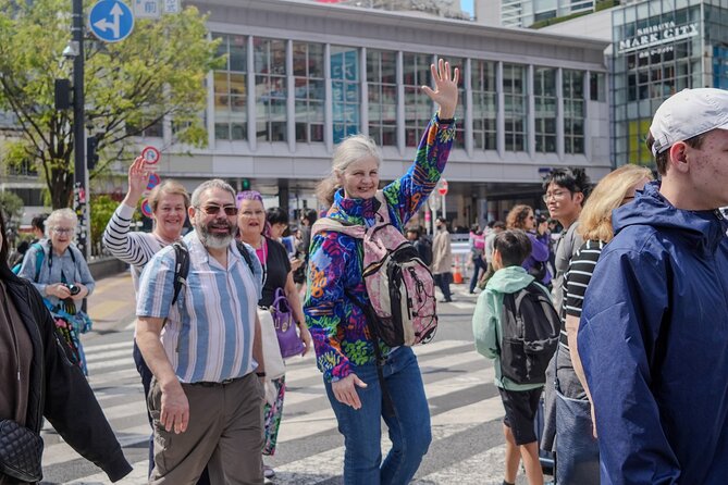 Hilighlight Walking Tokyo Tour With National Licensed Guide - Accessibility and Requirements