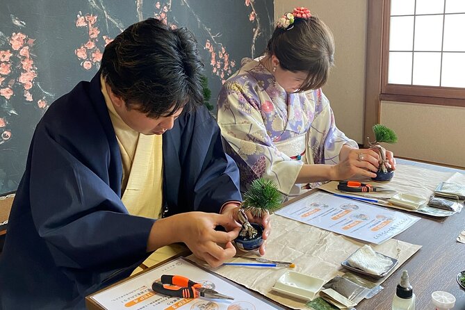 Kimono, Tea Experience and Handcraft Bonsai in Hakone Gora - Bonsai Handcraft Workshop