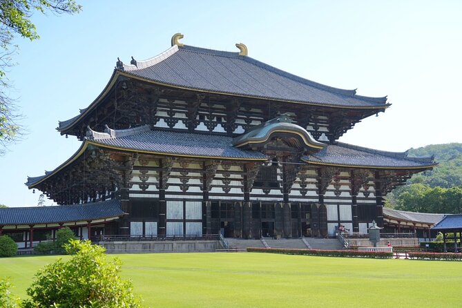 Kyoto and Nara in 1 Day in Fushimi Inari and Deer Park - Health and Accessibility Information