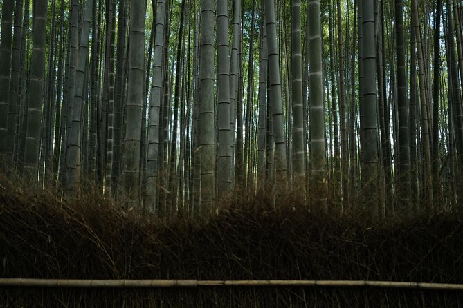 Kyoto Arashiyama Bamboo Forest Hidden Hiking Tour - Booking Information