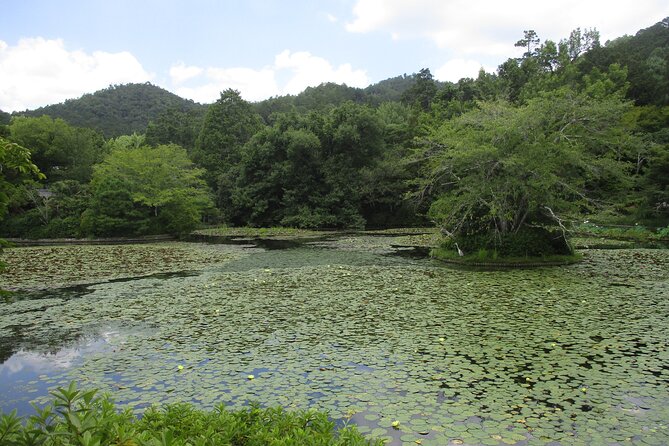 Kyoto ITALIAN GUIDE Golden Pagoda Bamboo Forest Dry Garden - Navigating the Meeting and End Points