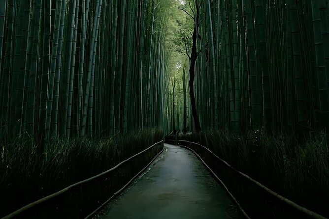 Kyoto: One Day Private Car Tour - Accessibility